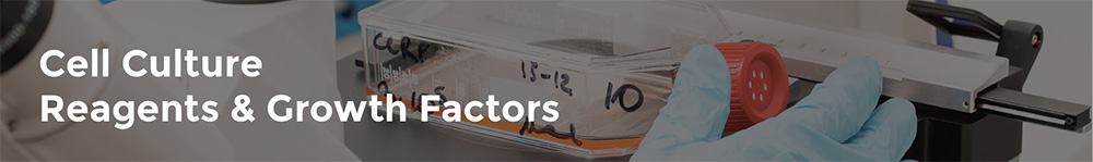 Cell Culture Reagents